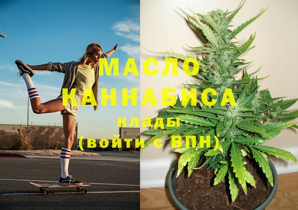 гидропоника Алзамай
