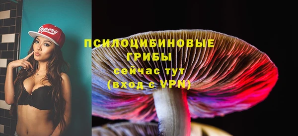 гидропоника Алзамай