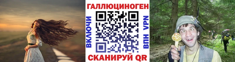 Галлюциногенные грибы Psilocybine cubensis  Каргат 